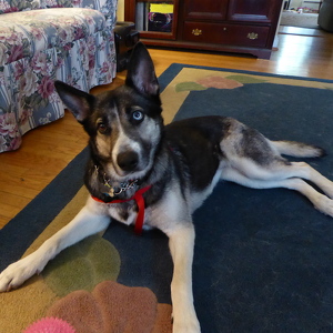 Fundraising Page: Luna (Kanga) PAC ALUM